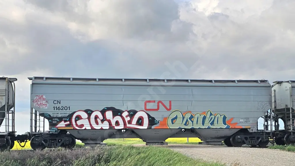 CN116201 - NORTH-AMERICA