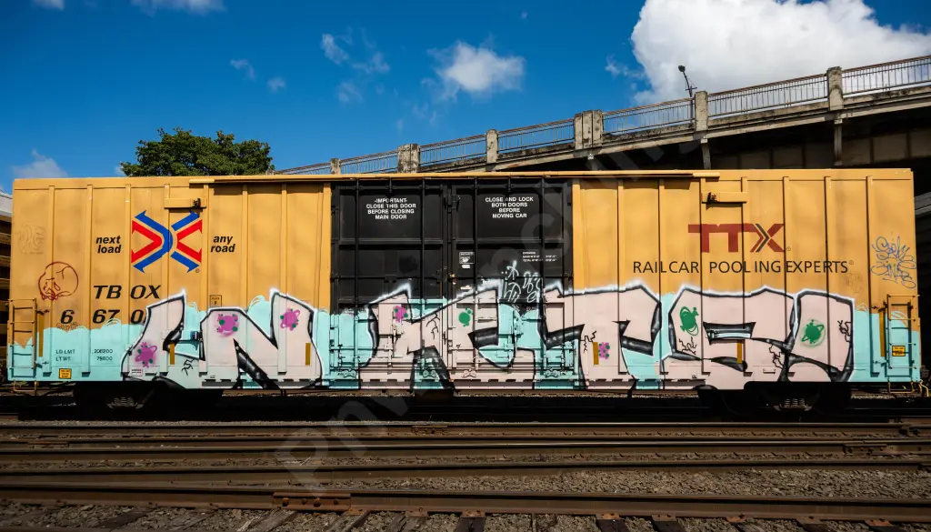 TBOX6670 - NORTH-AMERICA