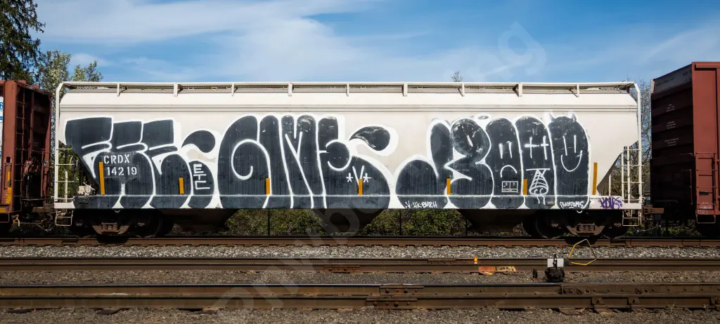 CRDX14219 - NORTH-AMERICA
