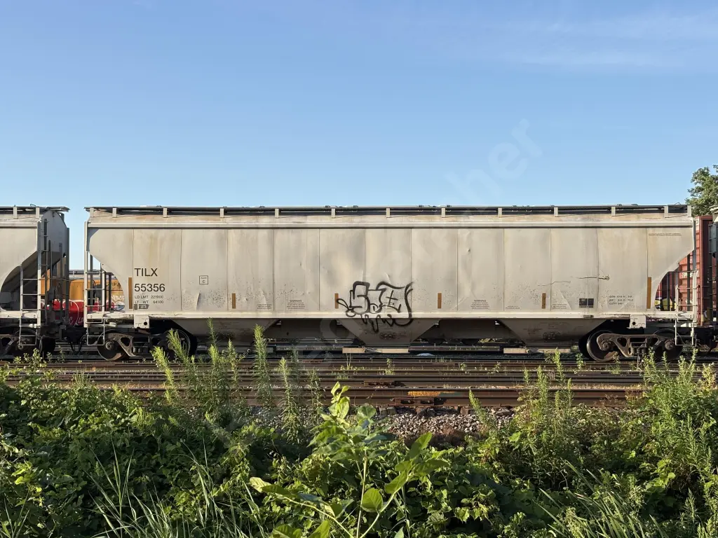 TILX55356 - NORTH-AMERICA
