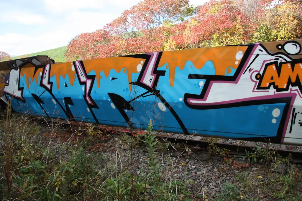 Train photo