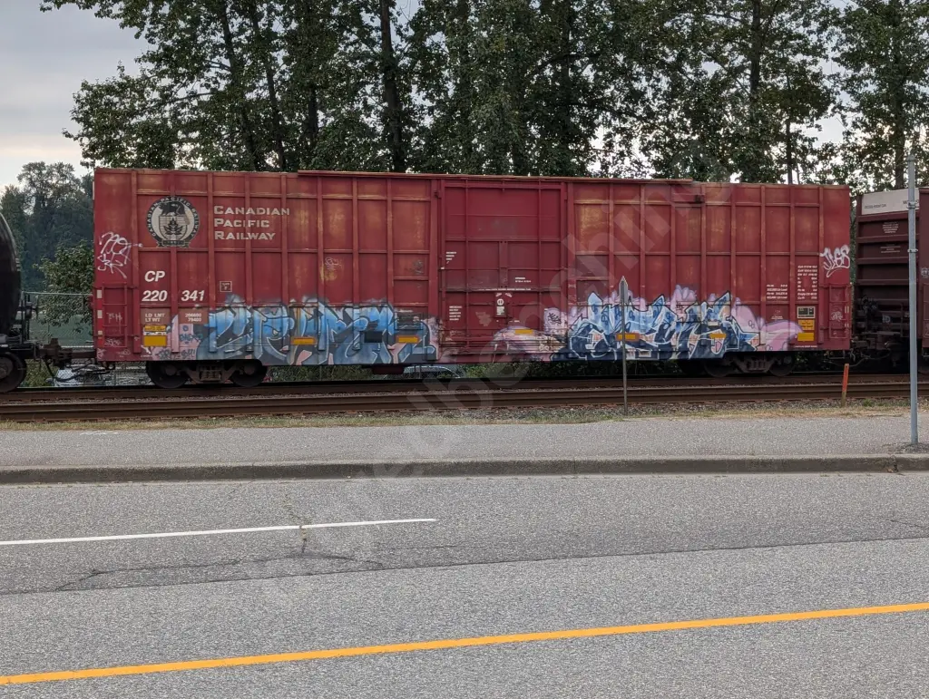CP220341 - NORTH-AMERICA