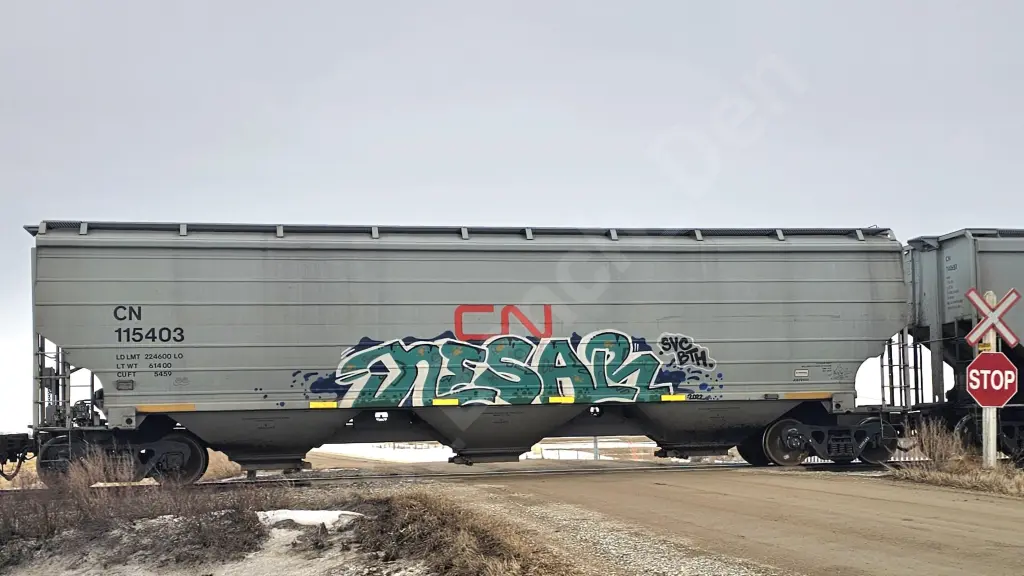 CN115403 - NORTH-AMERICA