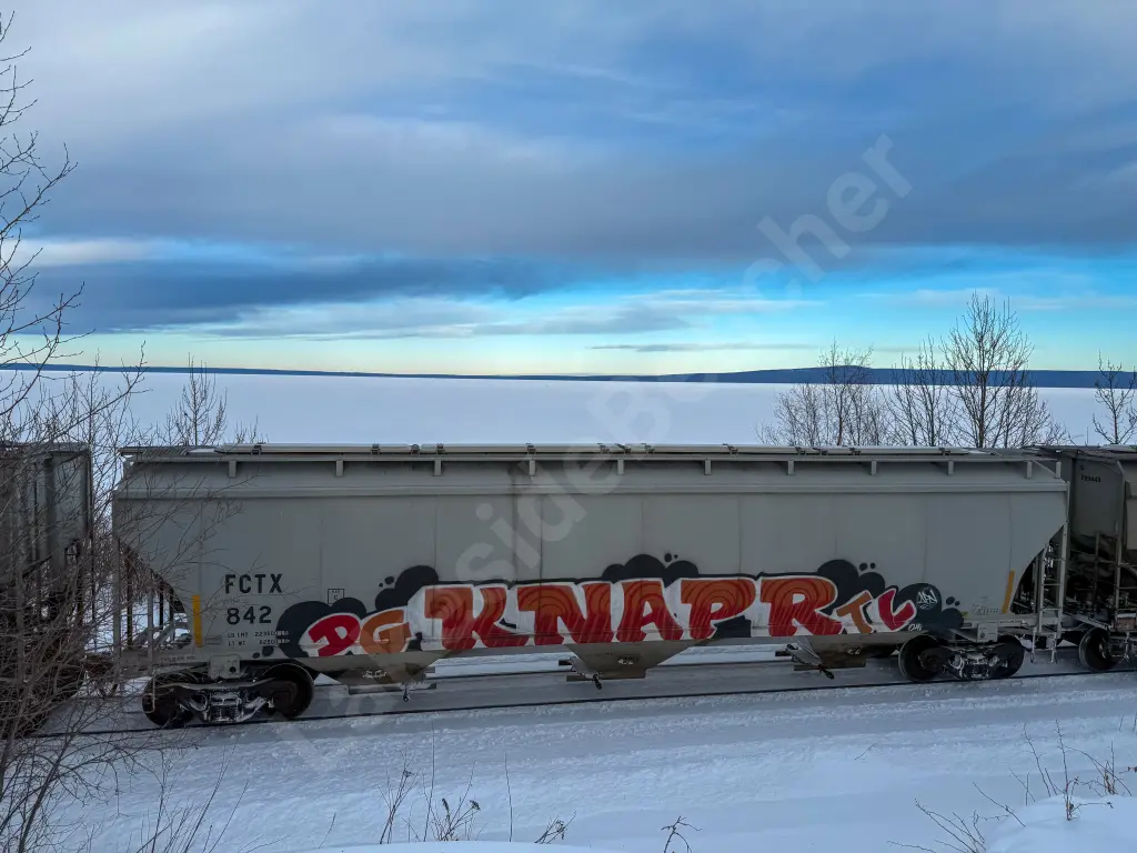 FCTX842 - NORTH-AMERICA