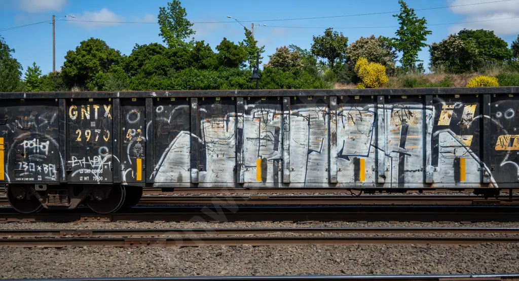 GNTX297042 - NORTH-AMERICA