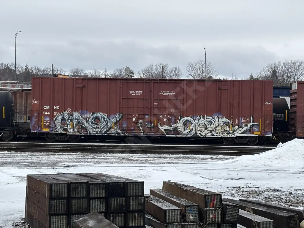 CMHX14423 - NORTH-AMERICA