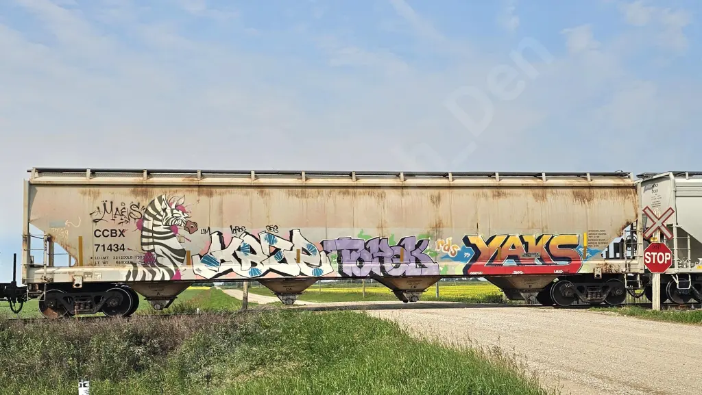 CCBX71434 - NORTH-AMERICA