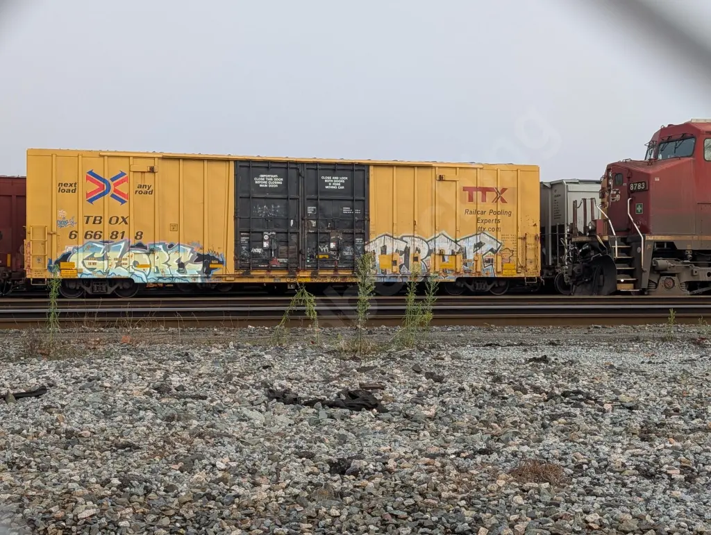 TBOX666818 - NORTH-AMERICA