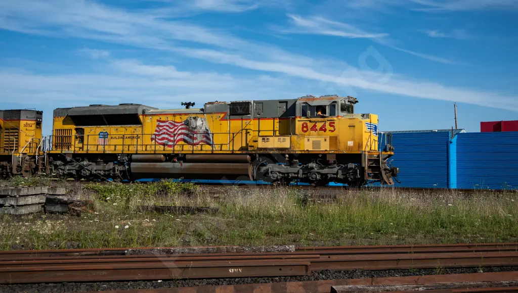 UP8445 - NORTH-AMERICA