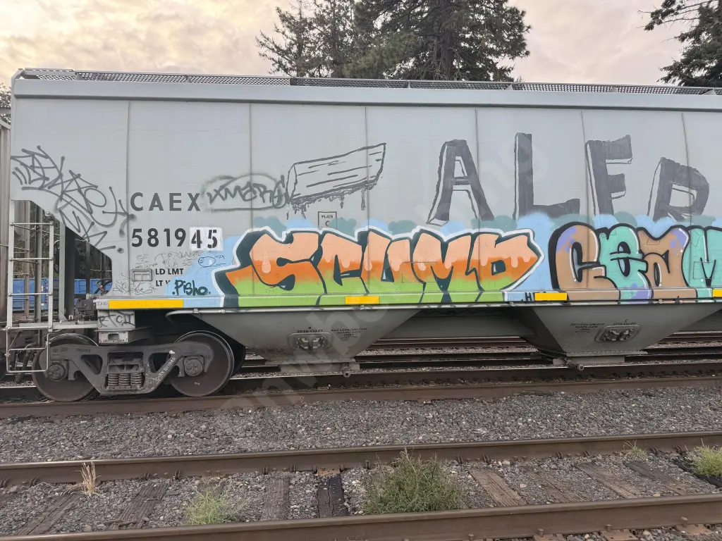 CAEX581945 - NORTH-AMERICA