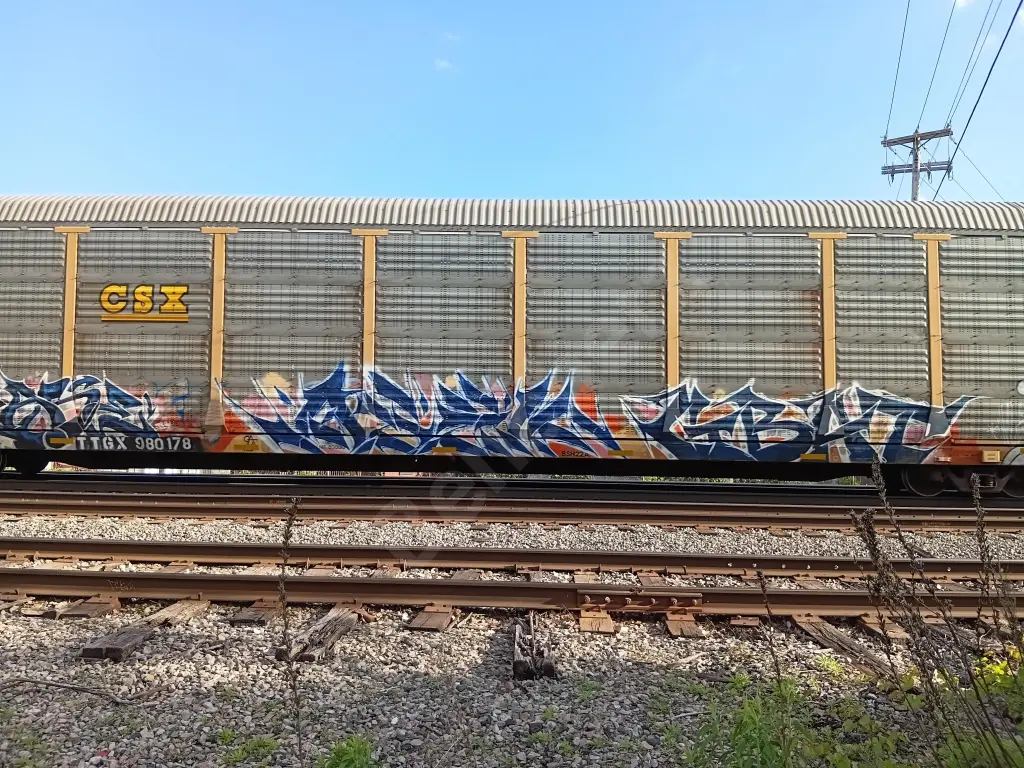 TTGX980178 - NORTH-AMERICA
