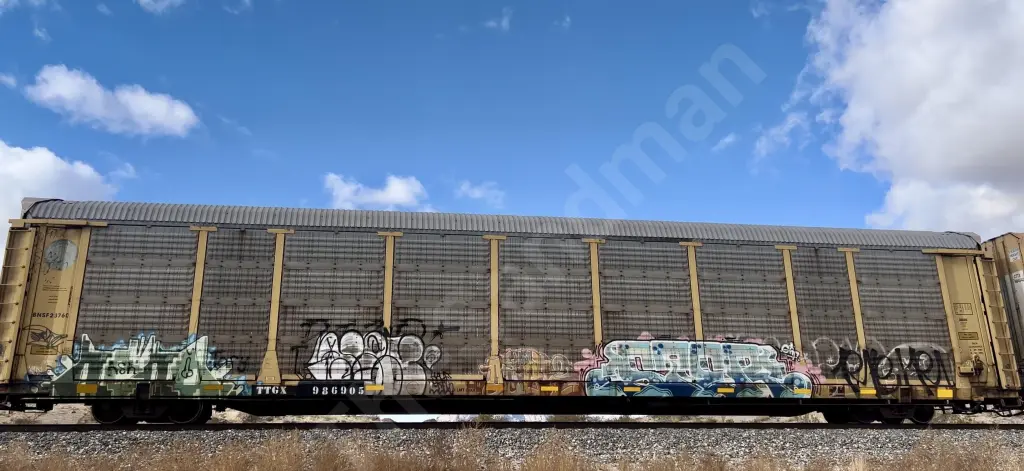 TTGX986905 - NORTH-AMERICA