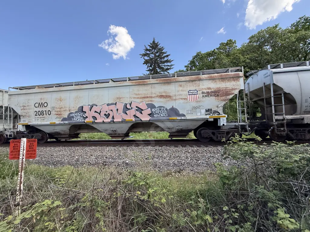 CMO20810 - NORTH-AMERICA