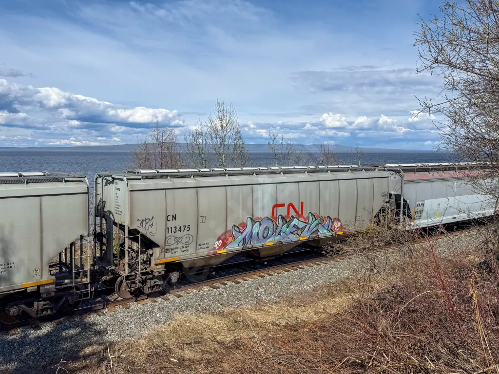 CN113475 - NORTH-AMERICA