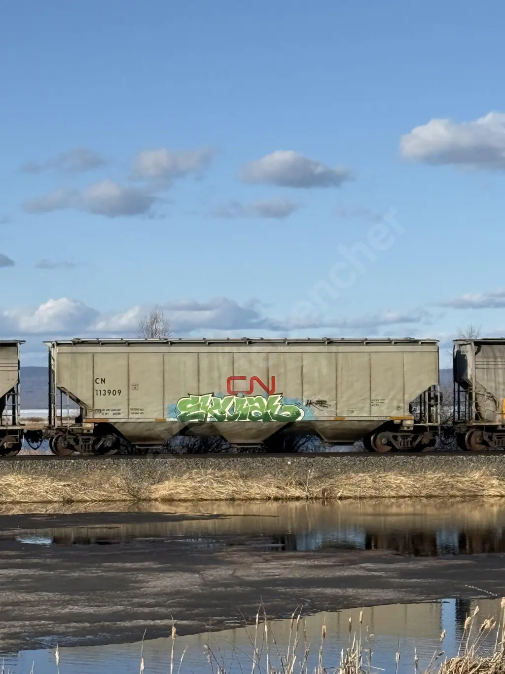 CN113909 - NORTH-AMERICA