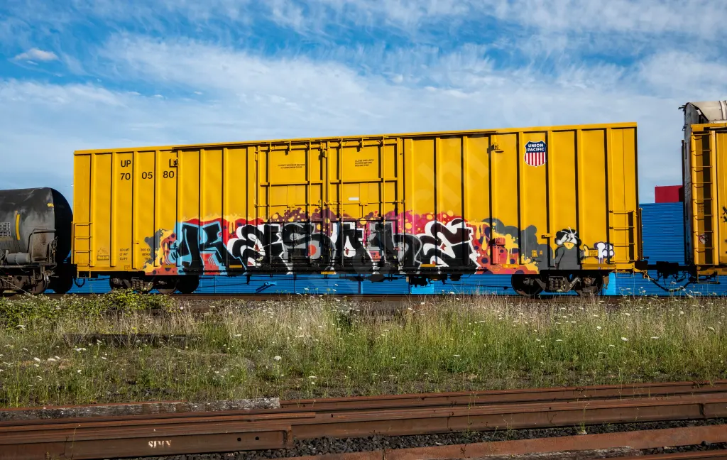 UP700580 - NORTH-AMERICA