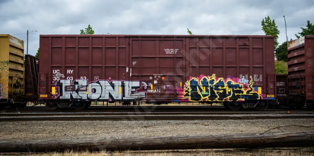 UCRY300353 - NORTH-AMERICA