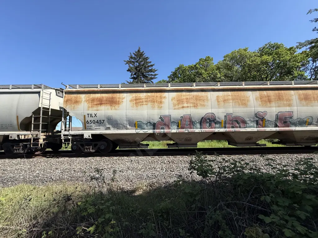 TILX650457 - NORTH-AMERICA