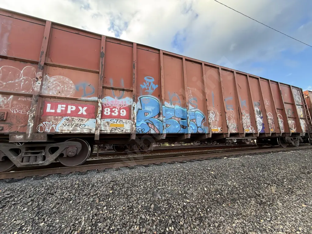 LFPX839 - NORTH-AMERICA