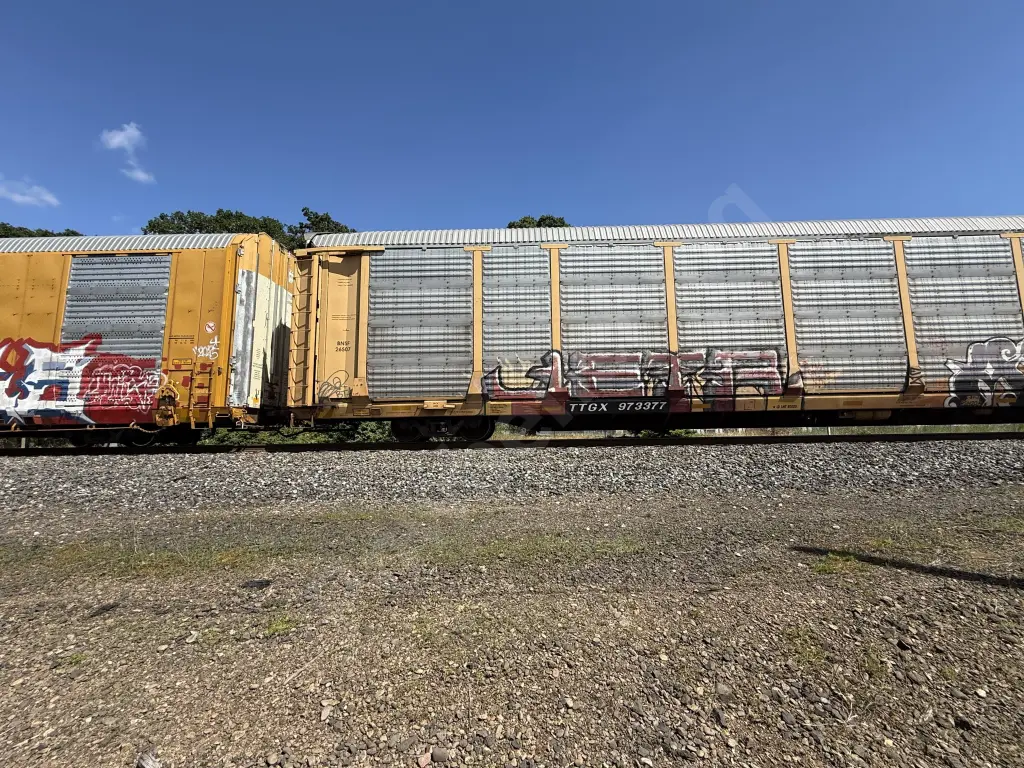 TTGX973377 - NORTH-AMERICA