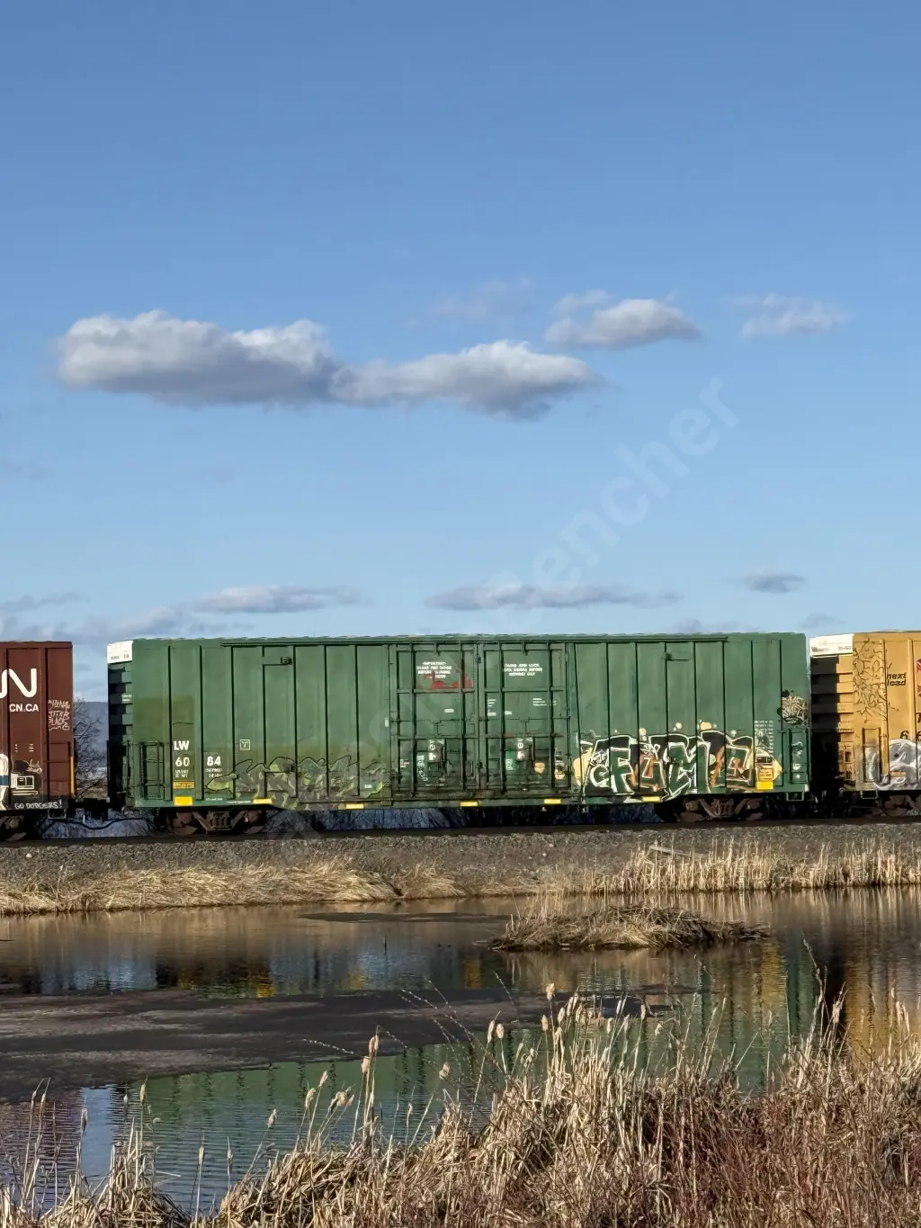 LW6084 - NORTH-AMERICA