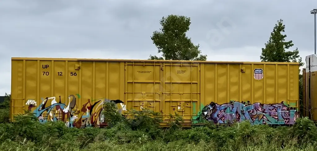 UP701256 - NORTH-AMERICA