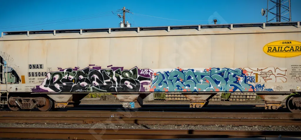 DNAX585040 - NORTH-AMERICA
