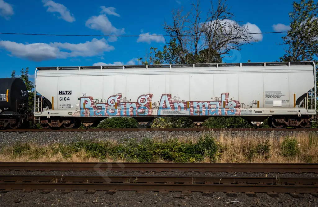 HLTX6164 - NORTH-AMERICA