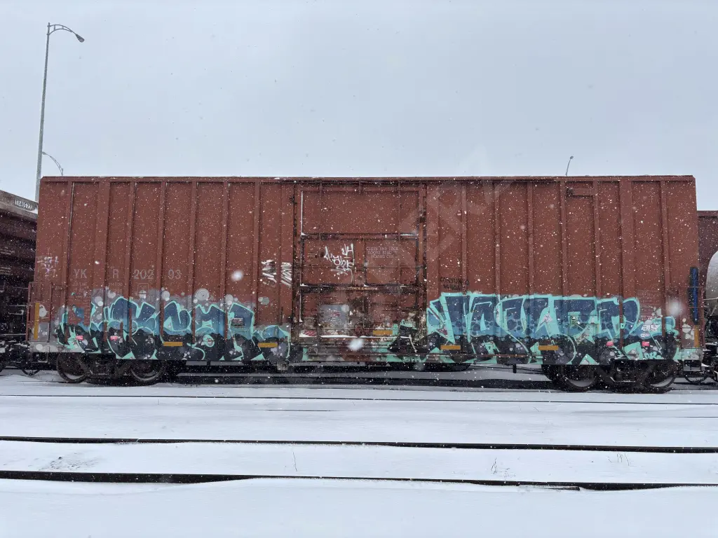 YKR20293 - NORTH-AMERICA