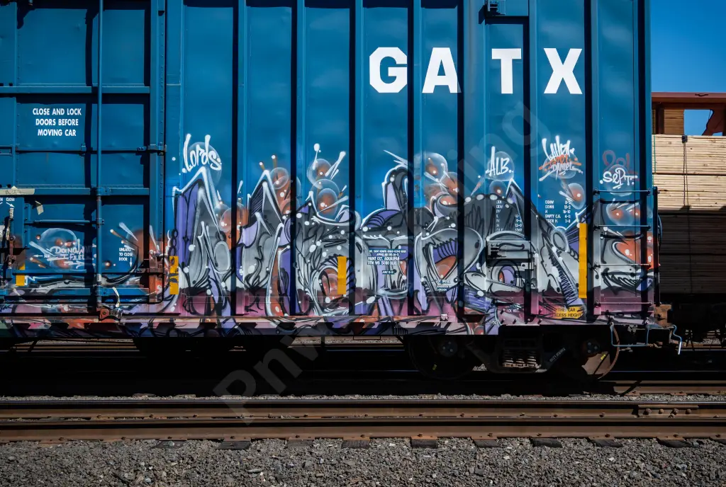 BKTY16962 - NORTH-AMERICA
