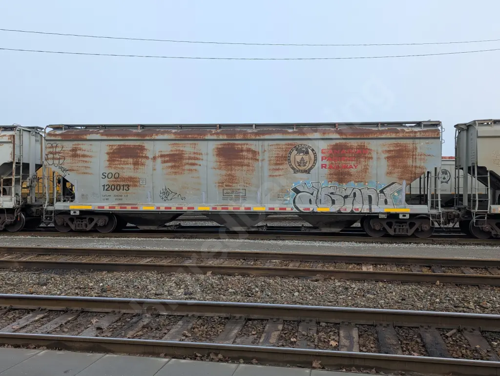 SOO120013 - NORTH-AMERICA