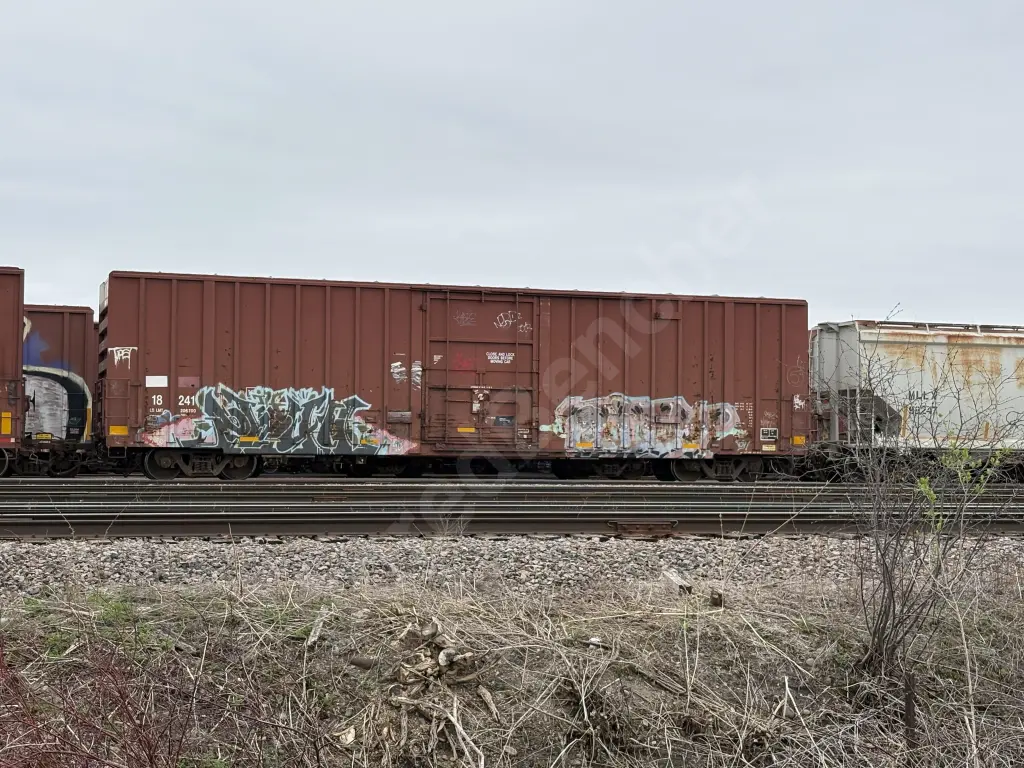 TR18241 - NORTH-AMERICA