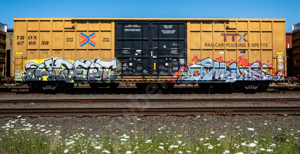TBOX676639 - NORTH-AMERICA
