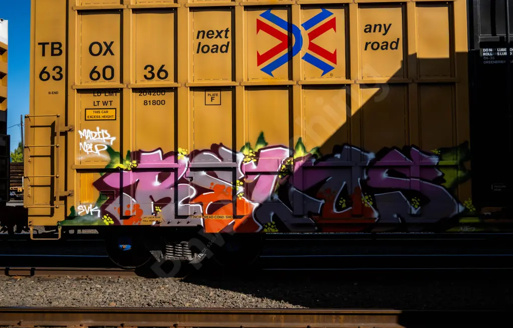 TBOX636036 - NORTH-AMERICA