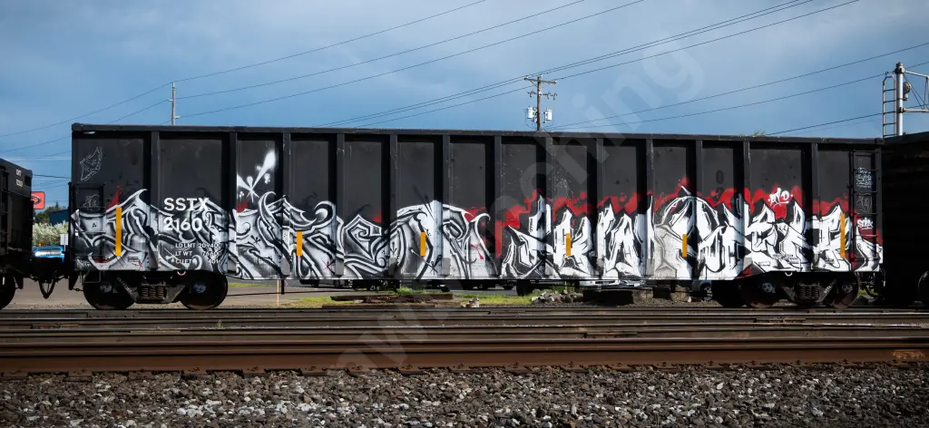 SSTX2160 - NORTH-AMERICA