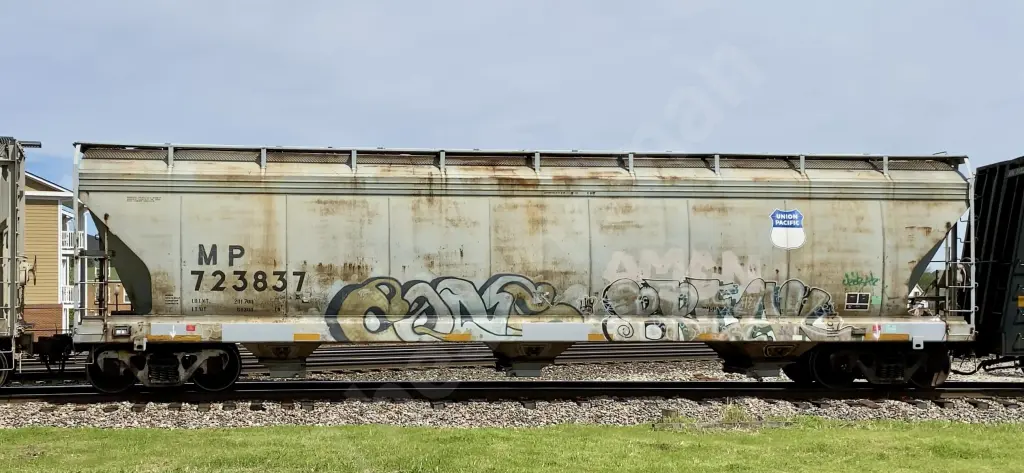 MP723837 - NORTH-AMERICA
