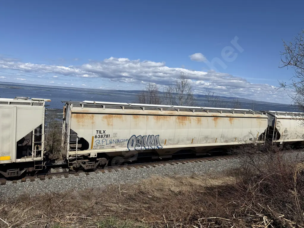 TILX638781 - NORTH-AMERICA