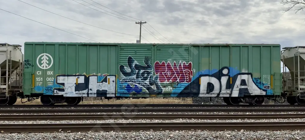 CIBX151062 - NORTH-AMERICA