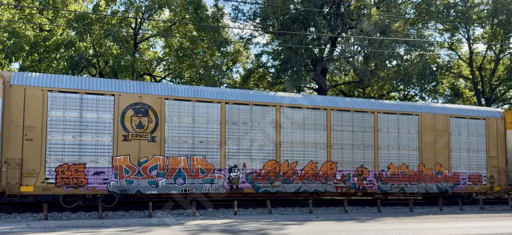 TTGX823038 - NORTH-AMERICA