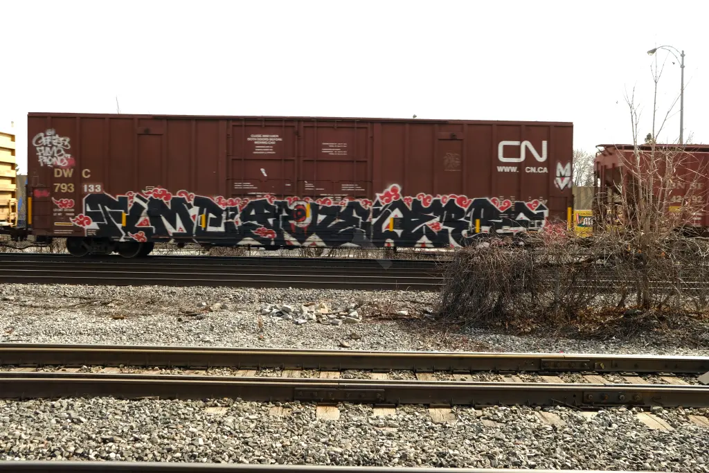 DWC793133 - NORTH-AMERICA