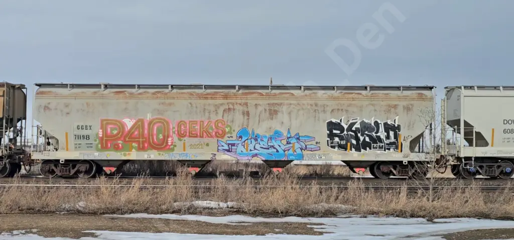 CCBX71198 - NORTH-AMERICA