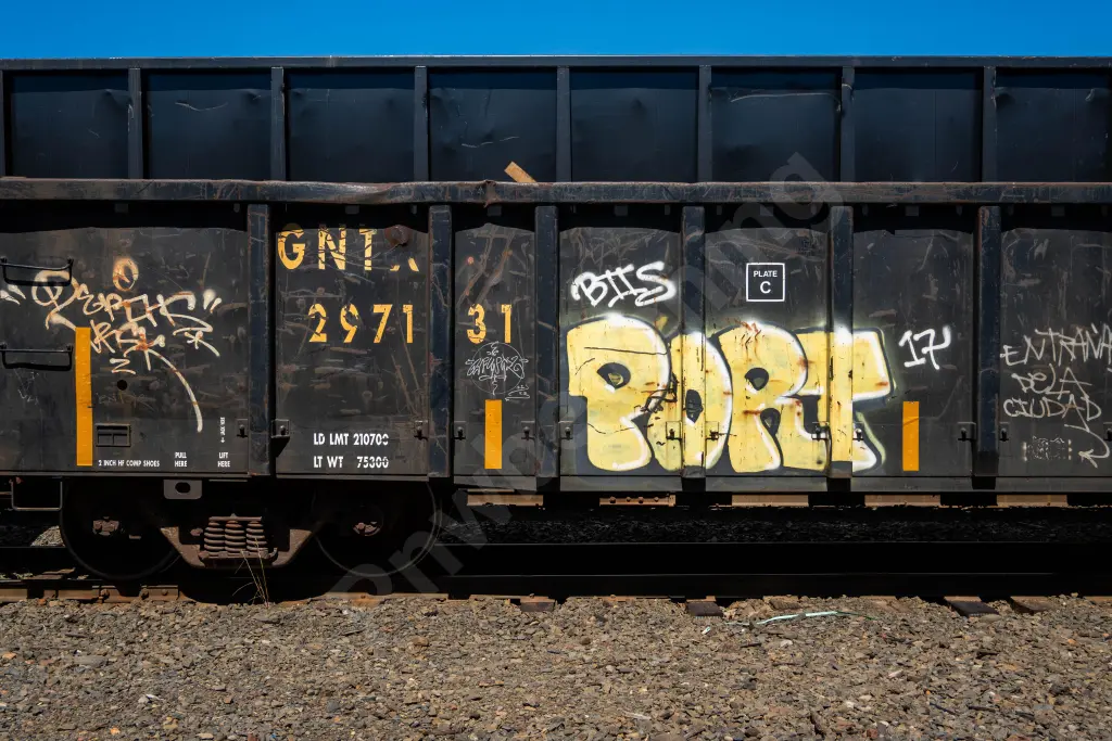 GNTX297131 - NORTH-AMERICA