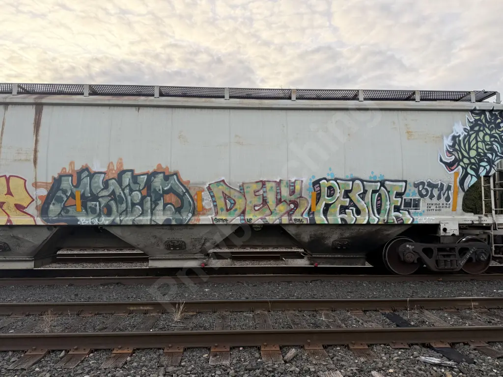 MWCX480506 - NORTH-AMERICA