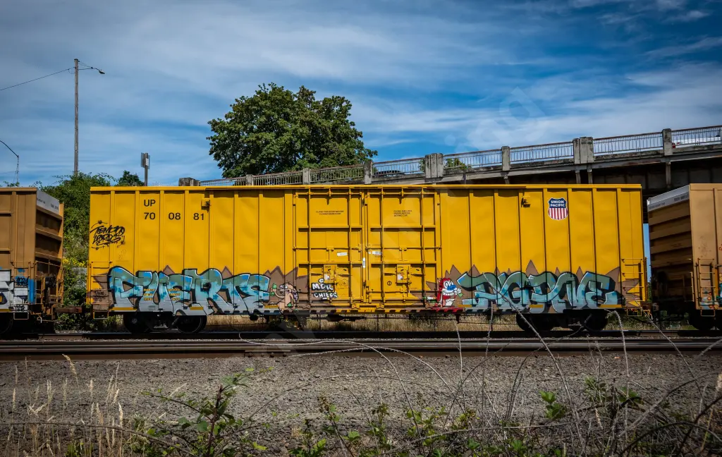 UP700881 - NORTH-AMERICA