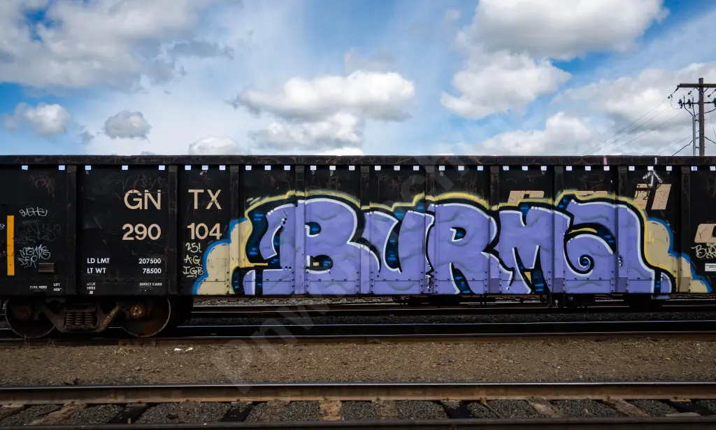 GNTX290104 - NORTH-AMERICA