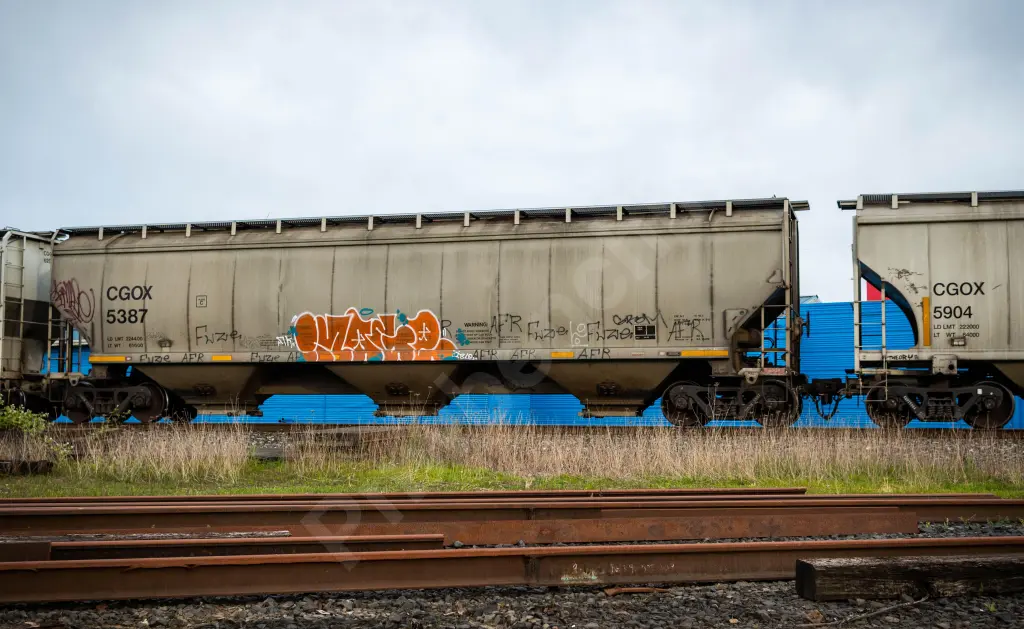 CGOX5387 - NORTH-AMERICA