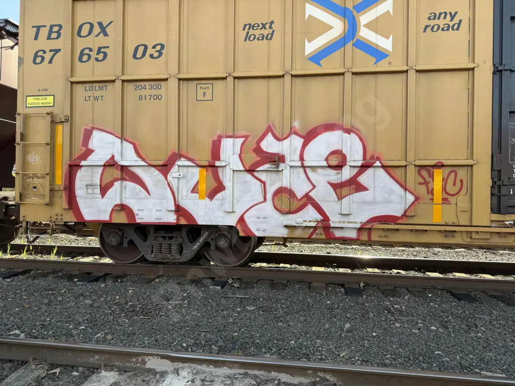 TBOX676503 - NORTH-AMERICA
