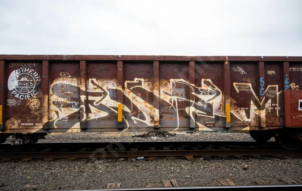 RFRX365178 - NORTH-AMERICA