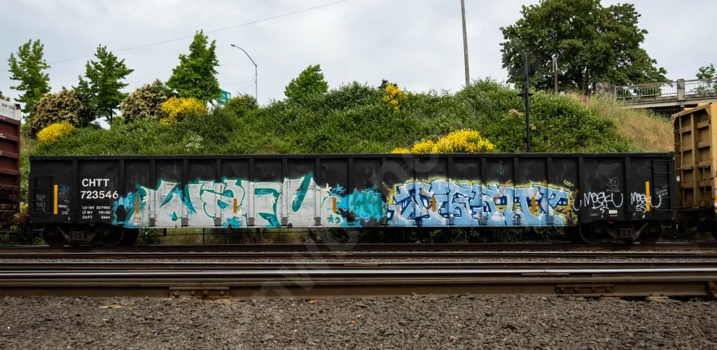 CHTT723546 - NORTH-AMERICA