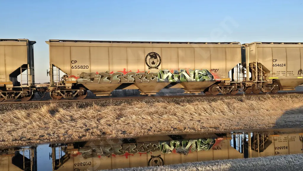 CP655820 - NORTH-AMERICA